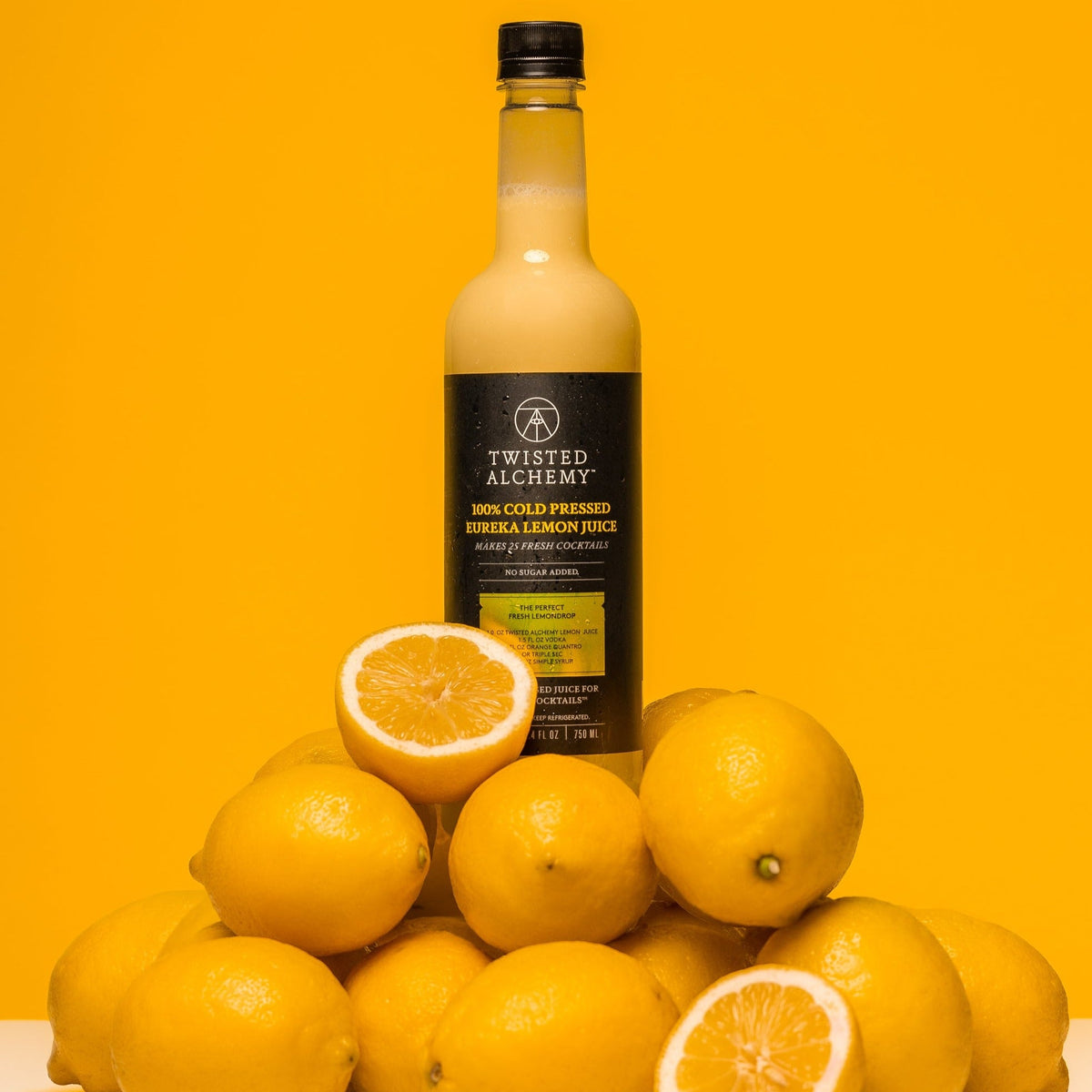 BARTENDER'S BASICS KIT - Twisted Alchemy