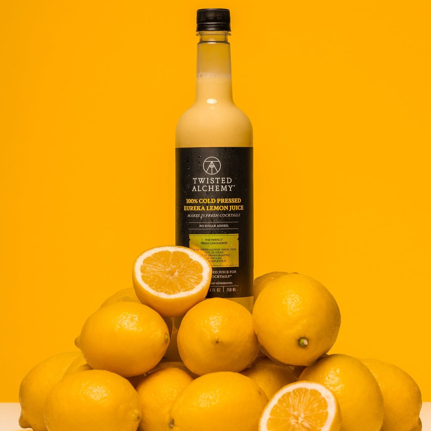 BARTENDER'S BASICS KIT - Twisted Alchemy