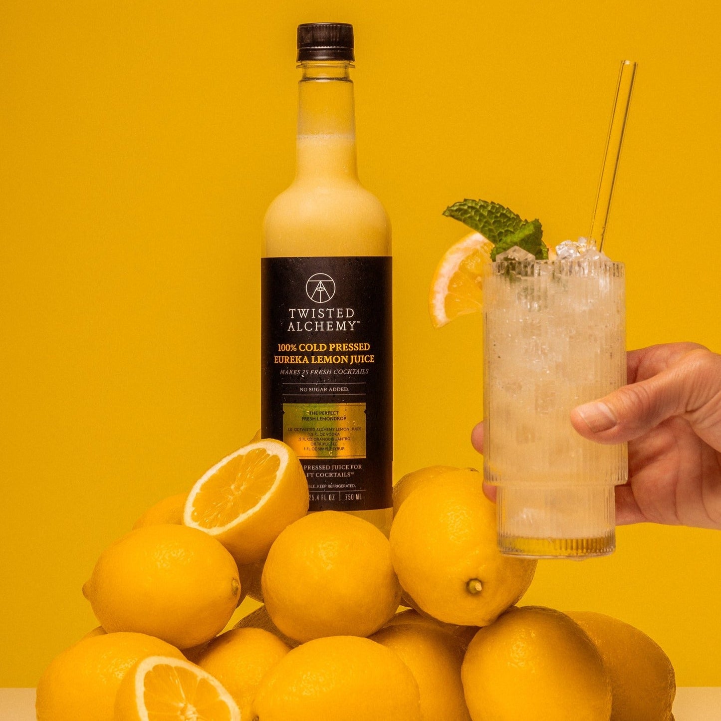 BARTENDER'S BASICS KIT - Twisted Alchemy