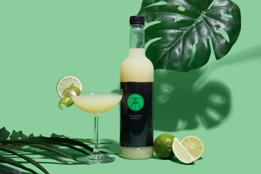 Cocktail in a coupe glass with a lime wheel and lime twist garnish in front of a bottle of lime juice, cut limes, and two fern leaves against a green background