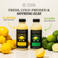 16oz 100% PERSIAN LIME JUICE COLD PRESSED - Twisted Alchemy
