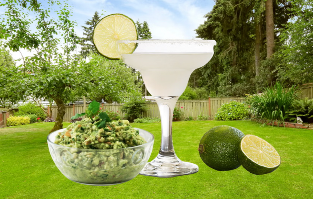 What We’re Eating and Drinking for Cinco de Mayo - Margarita/Guac