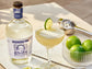 Daiquiri Essentials Kit - Twisted Alchemy