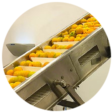 Cold press